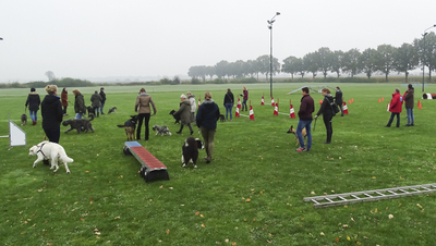 spelletjesdag 2